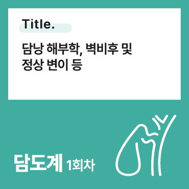 담낭 해부학, 벽비후 및 정상 변이 등