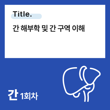 간 해부학 및 간 구역 이해