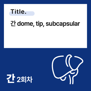 간 dome, tip, subcapsular