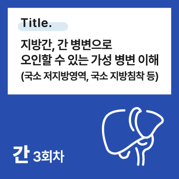 지방간, 간 병변으로 오인할 수 있는 가성 병변 이해 (국소 저지방영역, 국소 지방침착 등)