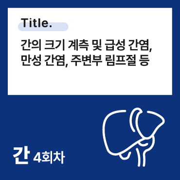간의 크기 계측 및 급성 간염, 만성 간염, 주변부 림프절 등