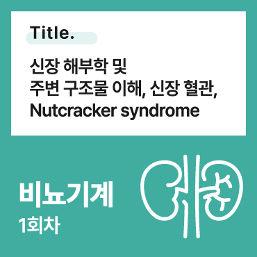 신장 해부학 및 주변 구조물 이해, 신장 혈관, Nutcracker syndrome