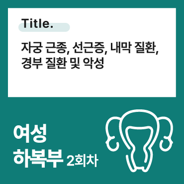 자궁 근종, 선근증, 내막 질환, 경부 질환 및 악성