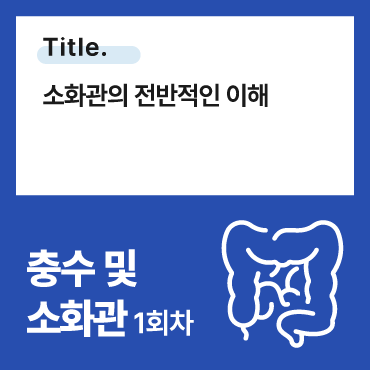 소화관의 전반적인 이해