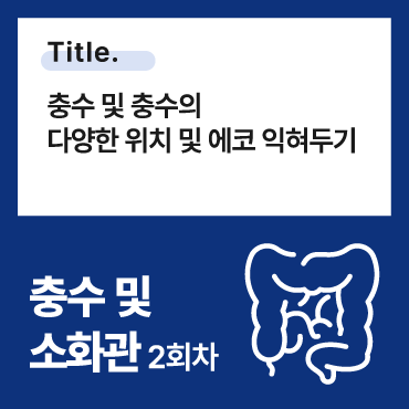 충수 및 충수의 다양한 위치 및 에코 익혀두기