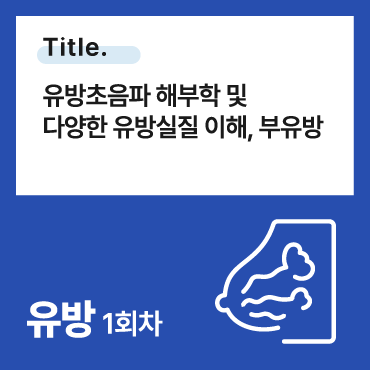 유방초음파 해부학 및 다양한 유방실질 이해, 부유방