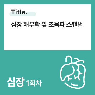 심장 해부학 및 초음파 스캔법