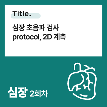 심장 초음파 검사 protocol, 2D 계측