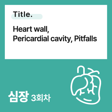 Heart wall, Pericardial cavity, Pitfalls