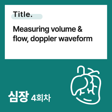 Measuring volume & flow, doppler waveform