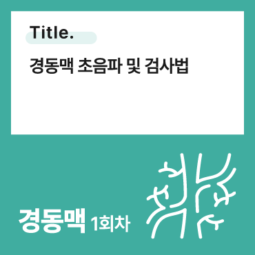 경동맥 초음파 및 검사법