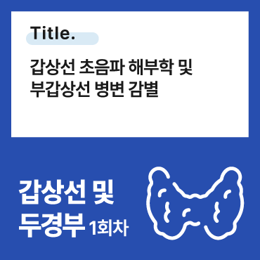 갑상선초음파 해부학 및 부갑상선 병변 감별