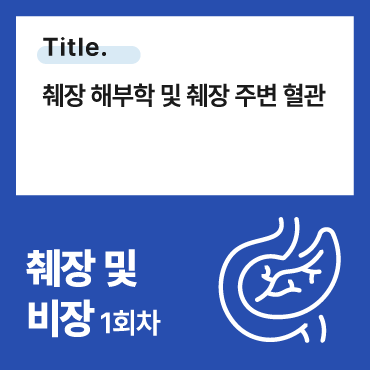 췌장 해부학 및 췌장 주변 혈관